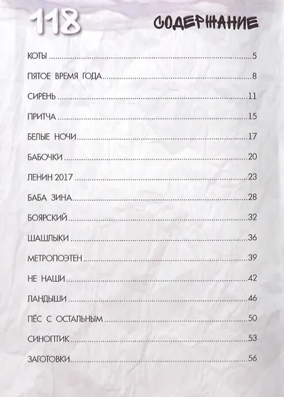 Фотопроза на поребрике - фото 2