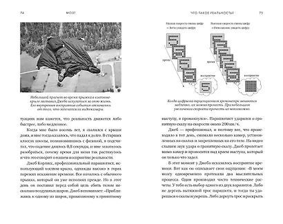 Мозг. Ваша личная история - фото 10