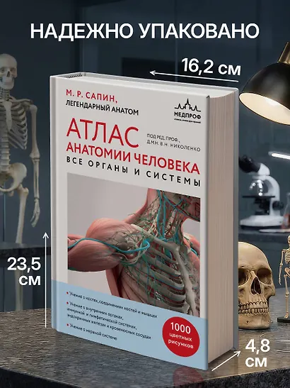 Атлас анатомии человека. Все органы и системы - фото 8