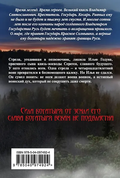 Варяг. Богатырь - фото 2