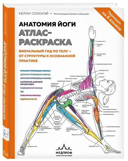 Анатомия йоги: атлас-раскраска. Визуальный гид по телу — от структуры к осознанной практике - фото 3