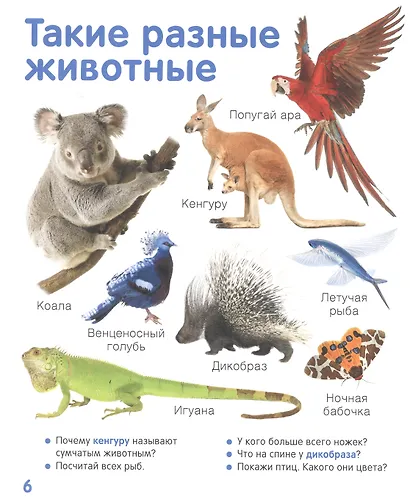 Животные. Твоя первая фотокнига - фото 2