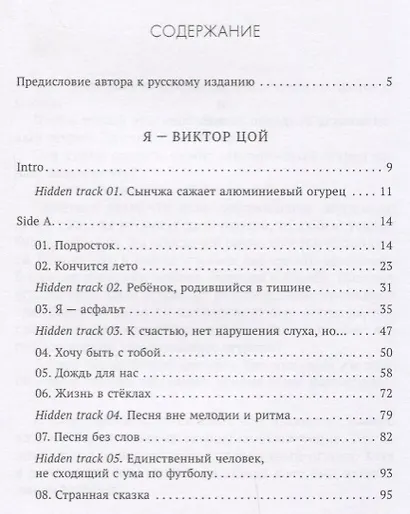 Гип.СКЛ.Я Виктор Цой - фото 2