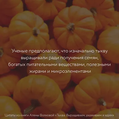 Тыква. Выращиваем, ухаживаем и едим - фото 4