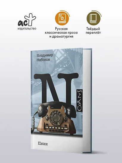 Пнин - фото 3