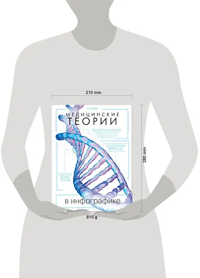 Медицинские теории в инфографике - фото 3
