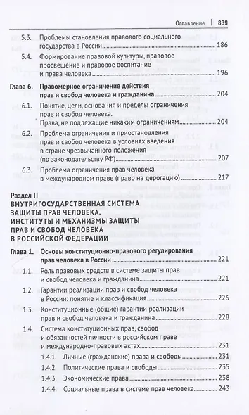 Международная и внутригосударственная защита прав человека. Учебник - фото 4