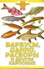 Барбусы, данио, расборы и другие карповые - фото 1