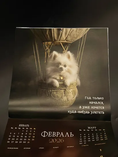 Шпицы. Календарь настенный на 2026 год (300х300) - фото 7