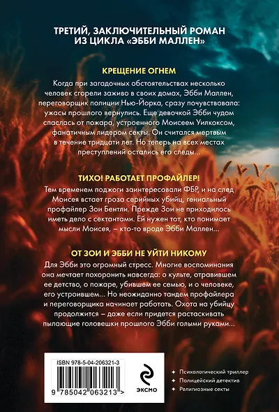 Пламя одержимости - фото 2