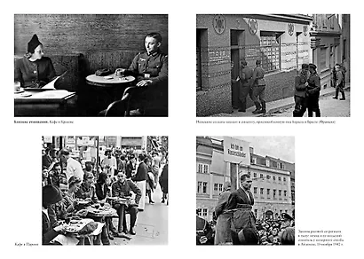 Мобилизованная нация. Германия 1939–1945 - фото 11