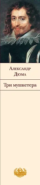 Три мушкетера: Роман - фото 3