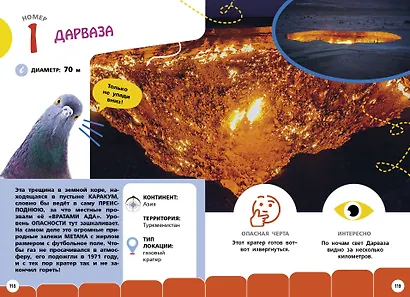 Самые необычные животные и места мира - фото 9