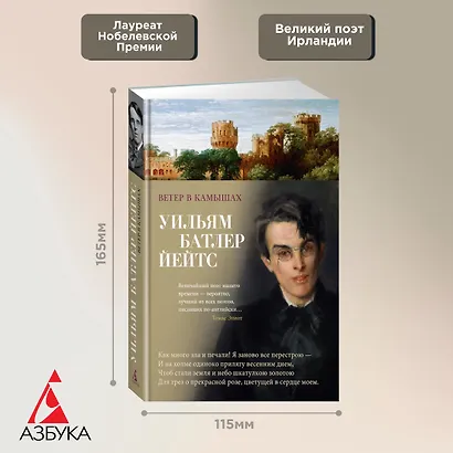 Ветер в камышах - фото 3