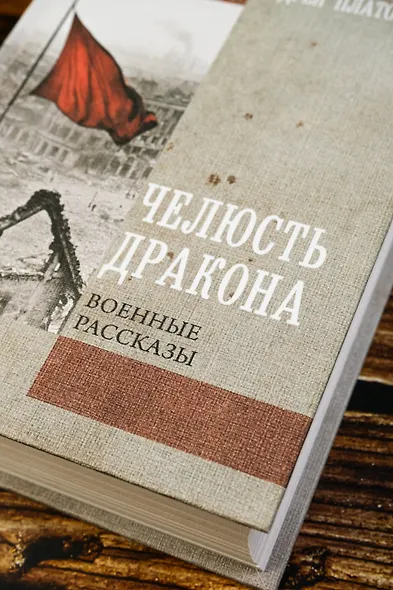 Челюсть дракона. Военные рассказы - фото 6