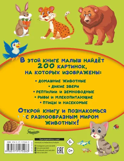 Животные. 200 картинок - фото 2