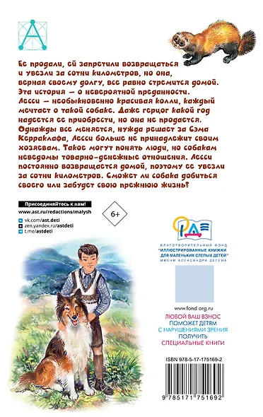 Лесси - фото 2