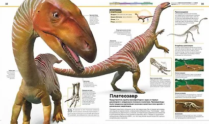 Динозавры. Самая полная современная энциклопедия - фото 4