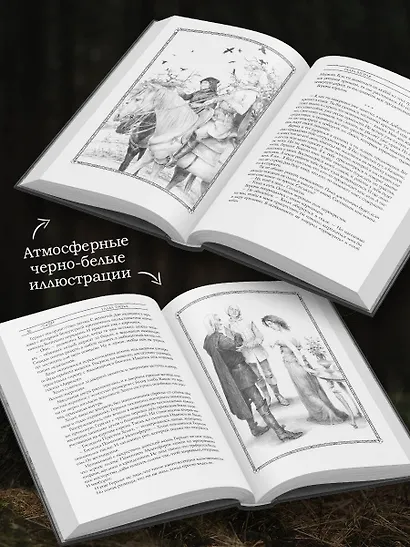 Ведьмак: Перекресток воронов с иллюстрациями Дениса Гордеева - фото 5