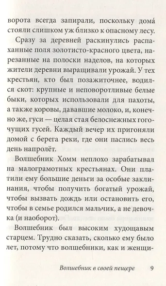 Волшебник Боландского леса - фото 5