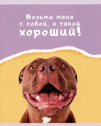 Тетрадь в линейку Listoff, "Веселые собаки", 48 листов, в ассортименте - фото 3