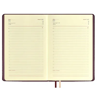 Ежедневник недат. А5 160л "Граниссо" бордовый, кожзам, тв.переплет, застежка-резинка, карман, тонир.блок, ляссе - фото 6