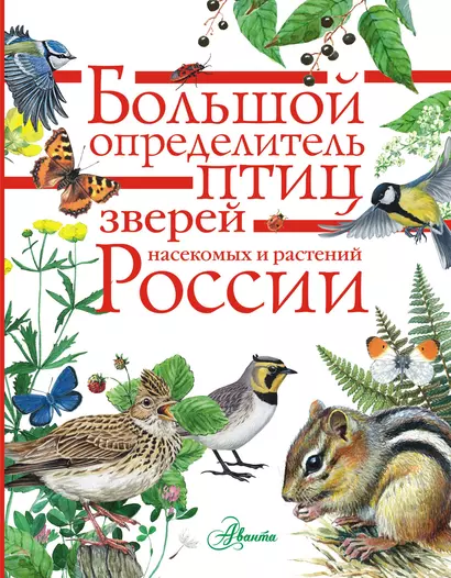 Большой определитель зверей, амфибий, рептилий, птиц, насекомых и растений России - фото 1