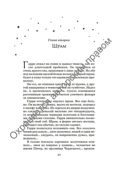Гарри Поттер и Кубок Огня (Хуффльпуфф) - фото 10