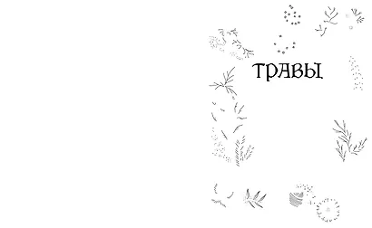 Травы. Магические запасы. Иллюстрированное руководство по сбору и заготовке волшебных растений, их полезным свойствам и сезонным ритуалам - фото 2