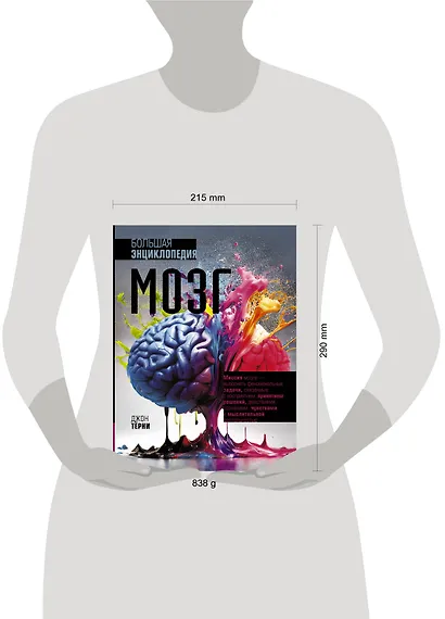 Мозг. Большая энциклопедия - фото 5