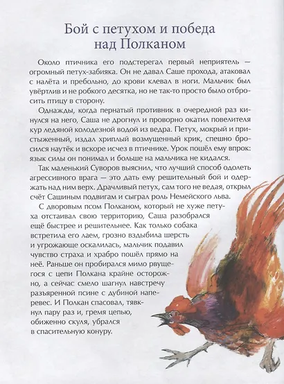 Суворов. Накануне великих побед - фото 2