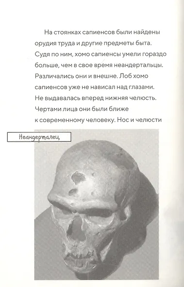 Саблезуб на закате - фото 6