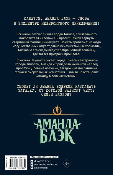 Аманда Блэк. Потерянный амулет - фото 2