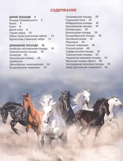 ЭНЦИКЛОПЕДИЯ ДЛЯ ДЕТЕЙ новые. ЛОШАДИ - фото 2