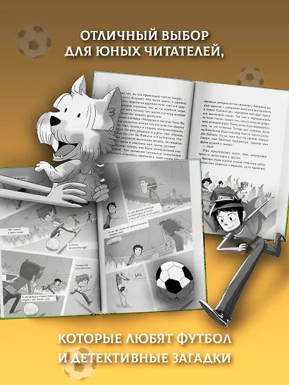 Детективы-футболисты. Тайна огненного цирка - фото 7