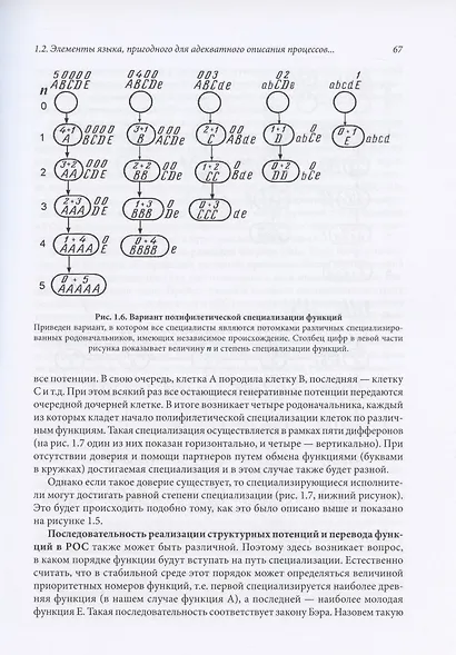 Структурные основы биологии развития и трехмерной гистологии. Новый подход в изучении канцерогенеза - фото 12