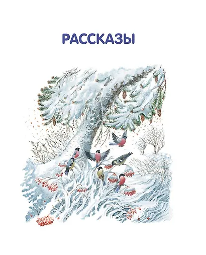 Лучшие рассказы и сказки о природе (ил. М. Белоусовой) - фото 8