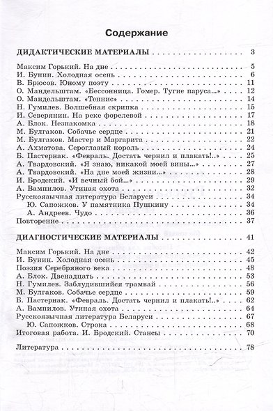 Русская литература, 11 класс. Дидактические и диагностические материалы - фото 2