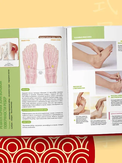 Китайский массаж стоп. Иллюстрированное руководство по точечному массажу - фото 9
