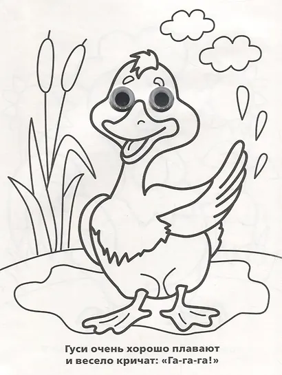 Домашние Животные. (Раскраска с Глазками). - фото 2