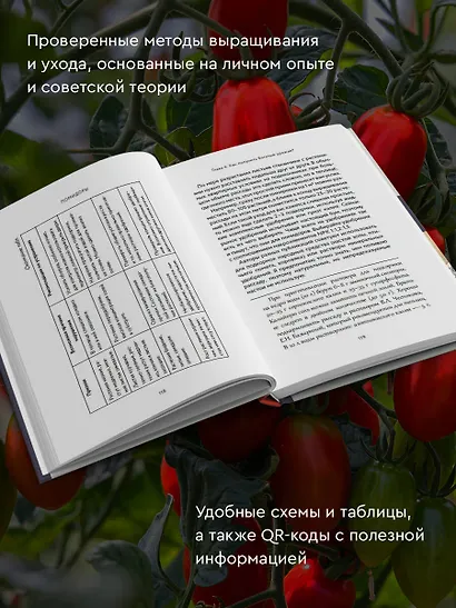 Энциклопедия пасленовых. Томат. Перец. Баклажан. Физалис - фото 5