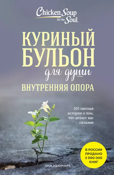 Куриный бульон для души. Внутренняя опора: 101 светлая история о том, что делает нас сильнее - фото 1