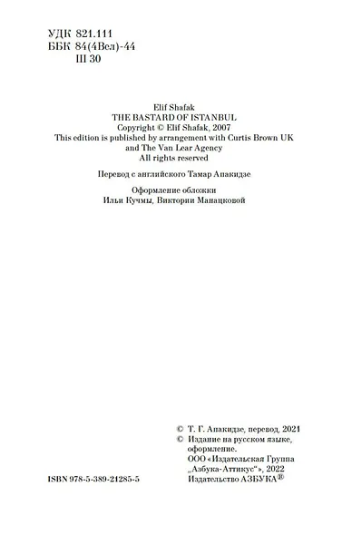Стамбульский бастард - фото 6