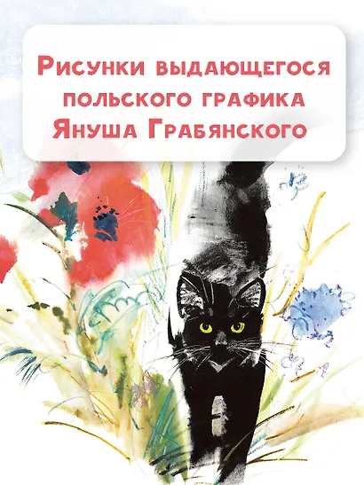 Удивительные кошачьи истории - фото 8