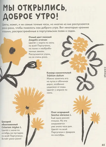 Солнце. Воздух - фото 8