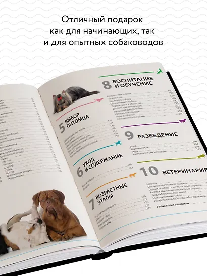 Собаки. Подарочная иллюстрированная энциклопедия - фото 5
