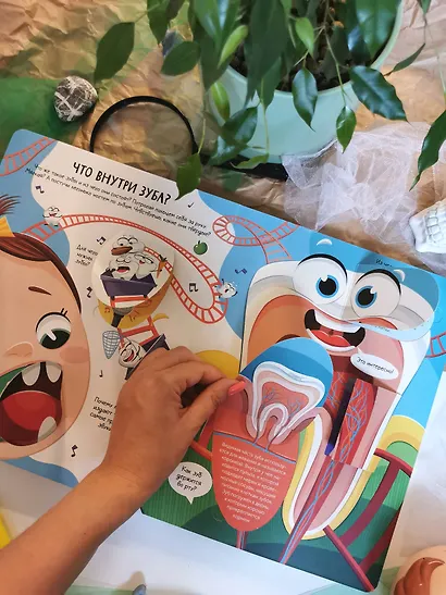 Всё о зубах. Открывай и изучай! - фото 11