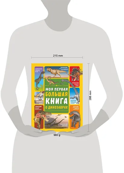 Моя первая большая книга о динозаврах - фото 3