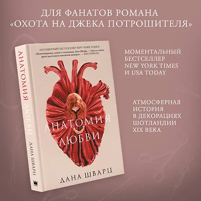 Анатомия любви - фото 3