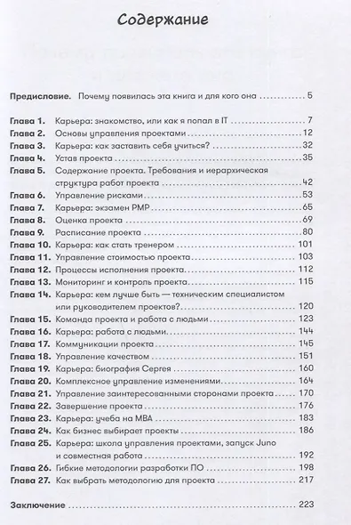 Проджект-менеджмент: Как быть профессионалом - фото 2